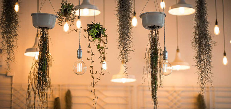 مصابيح LED-Lights-2